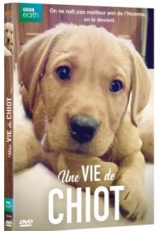 Une vie de chiot 14